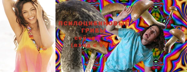 прущие крисы Абаза