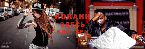прущие крисы Абаза