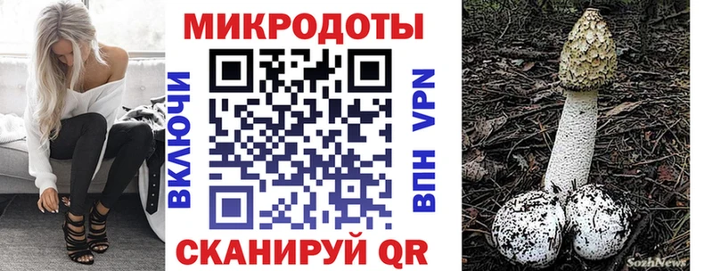 Псилоцибиновые грибы Psilocybine cubensis Зея